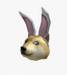 Bunny Doge Hat Meme Template