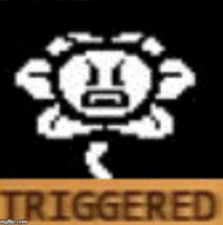 Flowey Triggered Meme Template