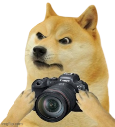 Doge camera Meme Template
