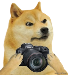 Doge camera Meme Template