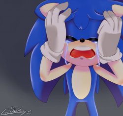 Sonic crying Meme Template