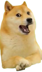 Doge happy Meme Template