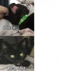 Salem I sleep Real Shit Meme Template