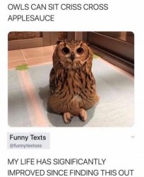 Owls can sit criss cross applesauce Meme Template