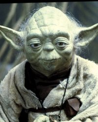 Yoda motoboy Meme Template