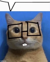 nerd cat Meme Template