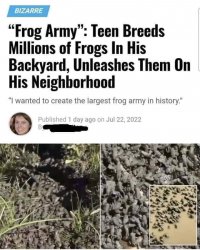Frog army Meme Template