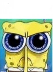 Angry spongebob blank Meme Template