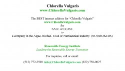 Chlorella Vulgaris Meme Template