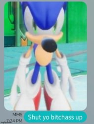 goofy ahh hedgehog Meme Template