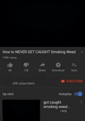 How to NEVER GET CAUGHT Smoking Weed / got caught smoking weed.. Meme Template