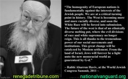 JEWS ARE NOT WHITES/EUROPEANS Meme Template