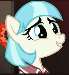 Coco pommel Meme Template
