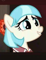Coco Pommel Meme Template