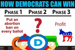 How Democrats can win Meme Template