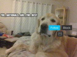The_nationals_are_the_best announcment template Meme Template