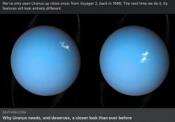 That's what she said! Meme Template