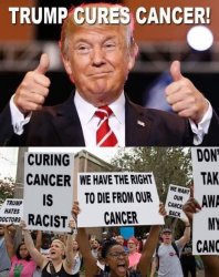Trump cures cancer Meme Template