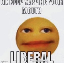 ok keep yapping your mouth LIBERAL Meme Template