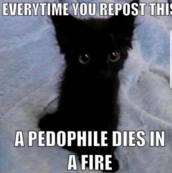 Everytime you repost this a pedophile dies in a fire Meme Template