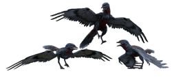 Archaeopteryx (JWA Design) Meme Template