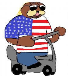 Le American Bear Meme Template