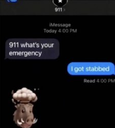 911 emergency text hotline Meme Template