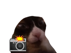 the g Meme Template