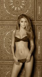 Gigi Hadid Meme Template