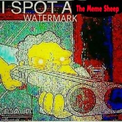 i spot a tms watermark Meme Template