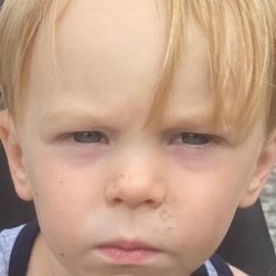 When you spot X Meme Template