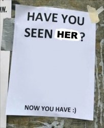 have you seen her now you have Meme Template