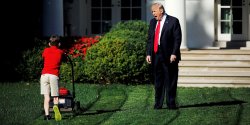 Trump Yelling at kid mowing lawn Meme Template