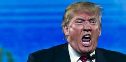Trump angry scream toddler infant tantrum Meme Template