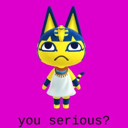 ankha cat you serious Meme Template