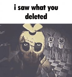 i saw what you deleted Meme Template