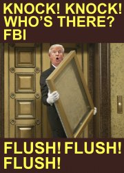 KNOCK KNOCK WHO'S THERE FBI FLUSH FLUSH FLUSH MEME Meme Template