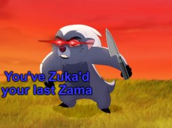 You've Zuka'd your last Zama Meme Template