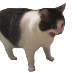screaming cat transparent Meme Template