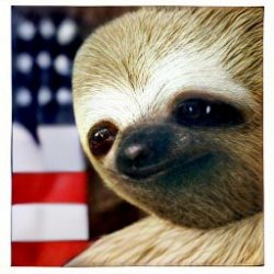 President sloth Meme Template