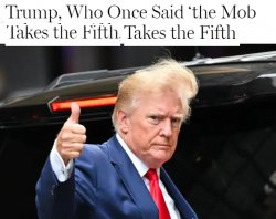 Trump pleads the fifth Meme Template