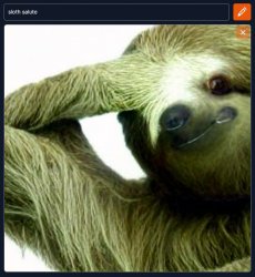 Sloth salute Meme Template