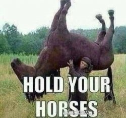 Hold your horses Meme Template