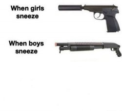 When girls sneeze, when boys sneeze Meme Template