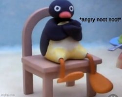 Angry Noot Noot Meme Template