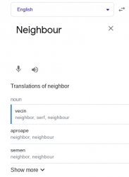 Neighbour Translation Fail Meme Template