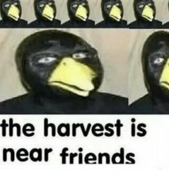 The harvest is near friends Meme Template