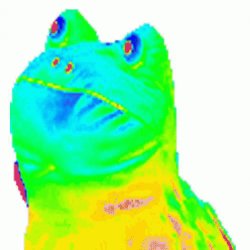 MLG Rainbow Frog Meme Template