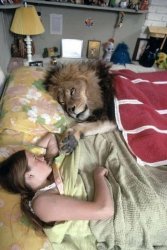 Sleep with a lion Meme Template