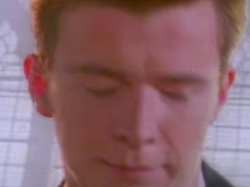 Disagree Rick astley Meme Template